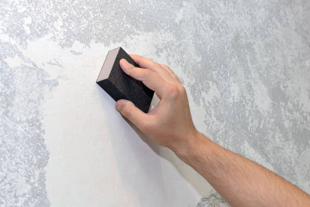 Best Mold Prevention Services  in Danville, AR