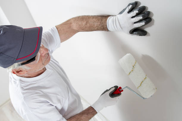 Best HVAC Mold Inspection and Cleaning  in Danville, AR
