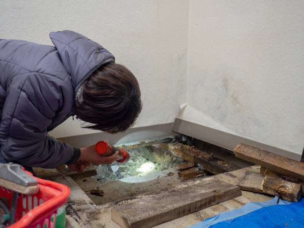 Best Air Quality Testing for Mold Spores  in Danville, AR