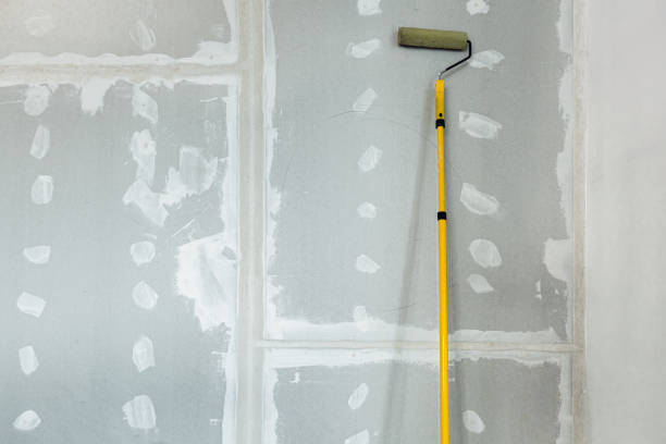 Environmental Consulting for Mold Prevention in Danville, AR