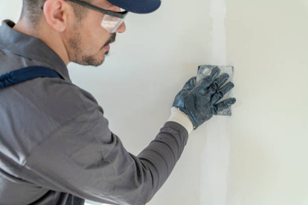 Best Emergency Mold Remediation  in Danville, AR
