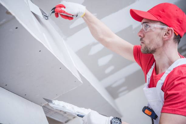 Best Black Mold Removal  in Danville, AR